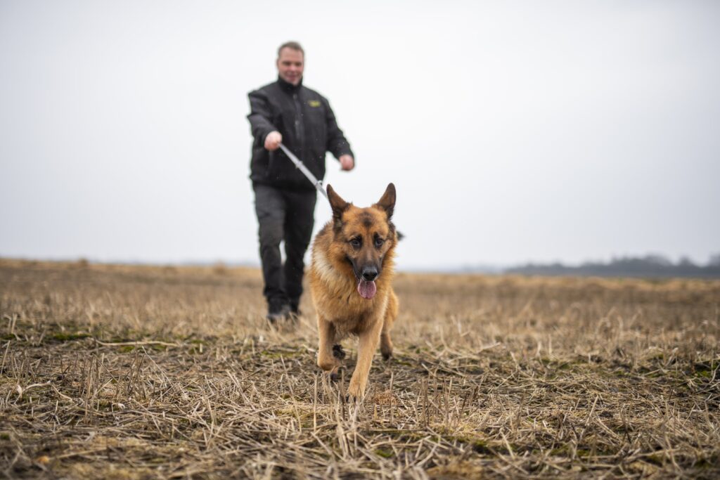 Hundevagt fra RJ Security